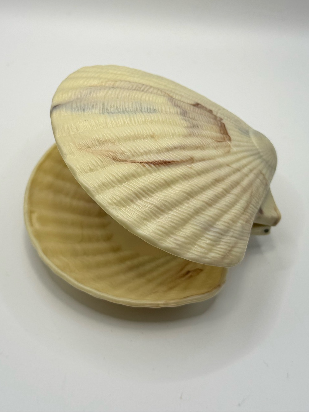 Vintage Plastic Hinged Clam Shell Trinket Jewelry Box Ocean Beach Decor Rare
